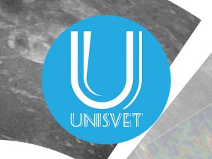 Accademia di Diagnostica Ecografica Unisvet 2018-2019